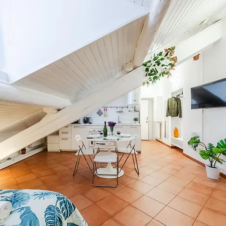 The White Jungle - San Babila Attic * Mediolan