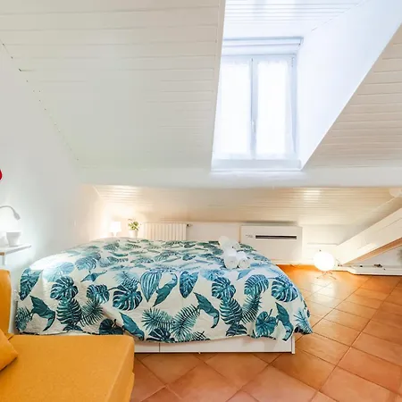 The White Jungle - San Babila Attic * Mediolan